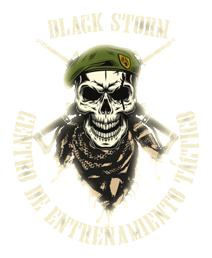 logo-airsoft-blackstorm-valencia-espana-perfil-bco-4